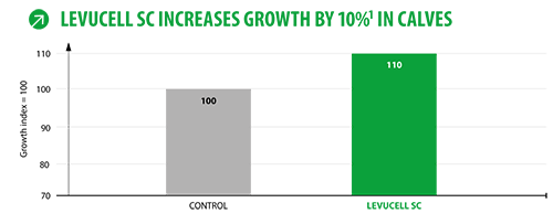levucell sc improves calf growth