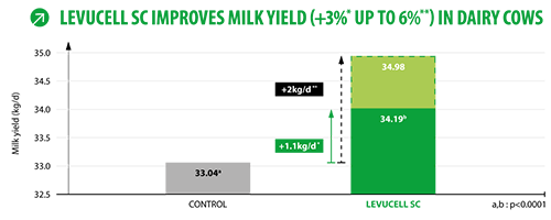 lsc increases rumen pH, reducing the risk of acidosis