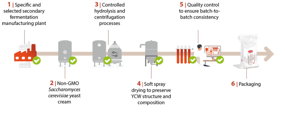 OPTIWALL, a yeast cell wall selected and optimized by Lallemand