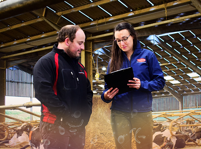 a man and a woman discussing in a farm