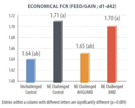 Effect of the different treatments on broiler performance day 1-42