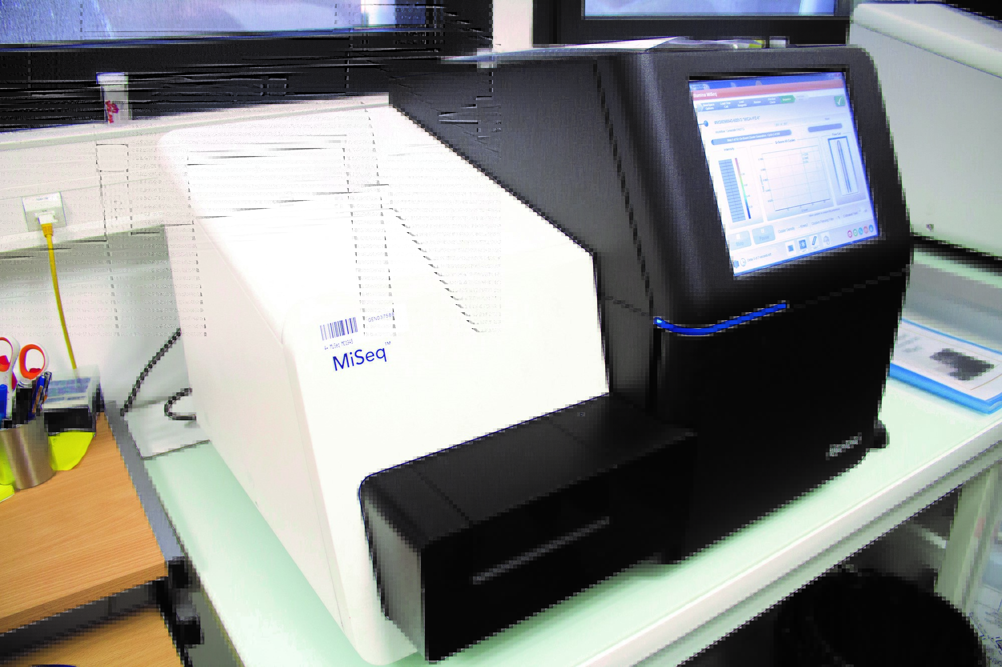 High-troughput sequencing platform at INRA in Toulouse, France, used in the study