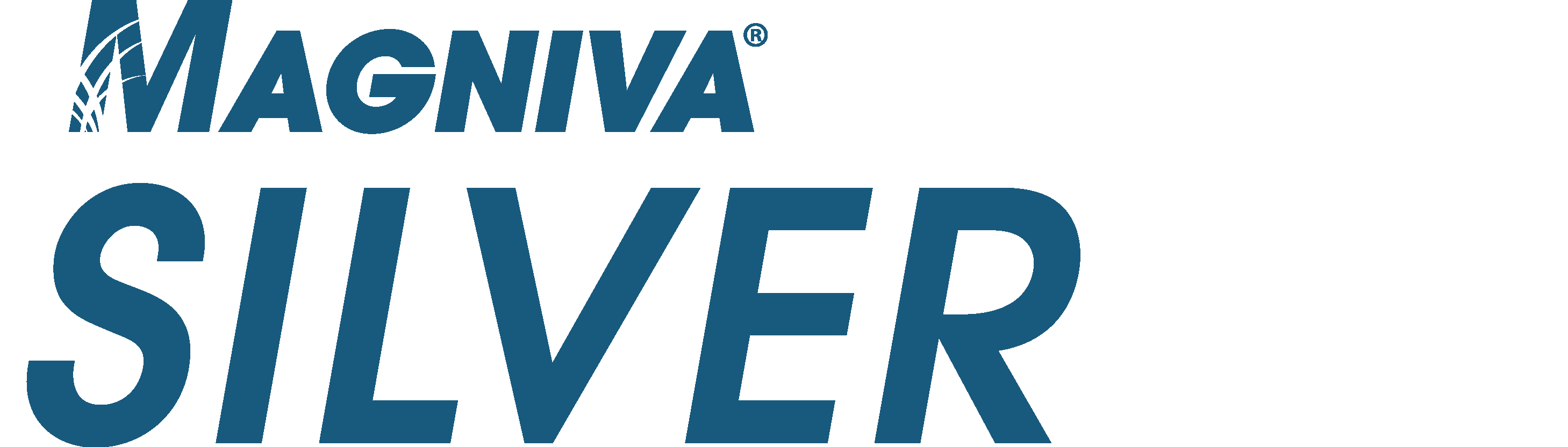 MAGNIVA Silver