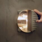 Bacteria inside the freeze-dryer