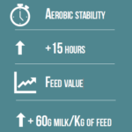 improvements of aerobic stability with magniva products