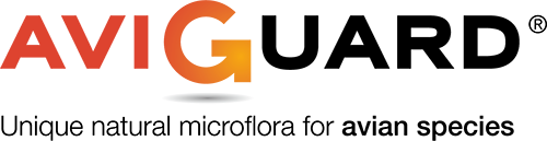 Natural microbiota for avian species: AVIGUARD