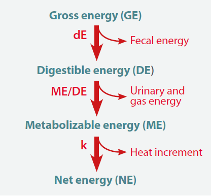 energy-utilization-jean-noblet-lallemand