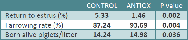 figure1-sows-piglets