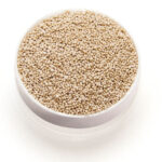 titan technology lallemand animal nutrition