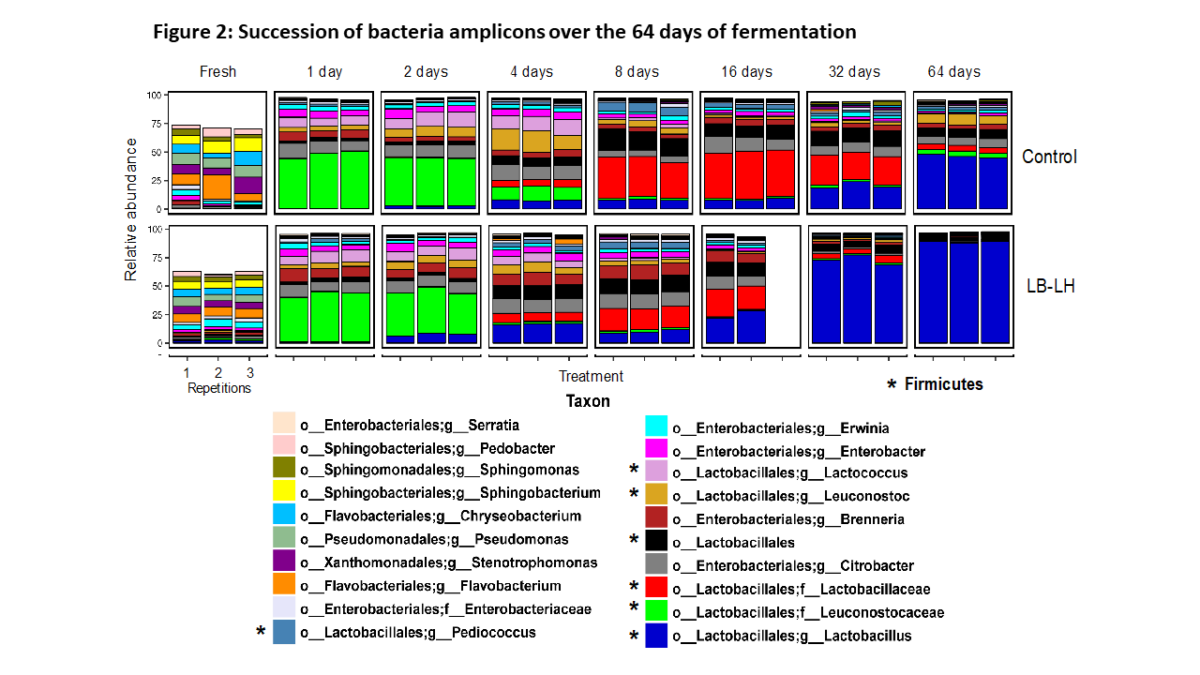 Figure 2. Succession of bacteria amplicons over the 64 days fermentation