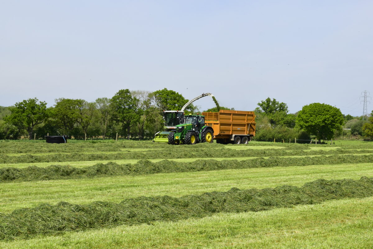 Silage harvesting in progress with a John Deere tractor and forage harvester collecting fresh-cut grass.