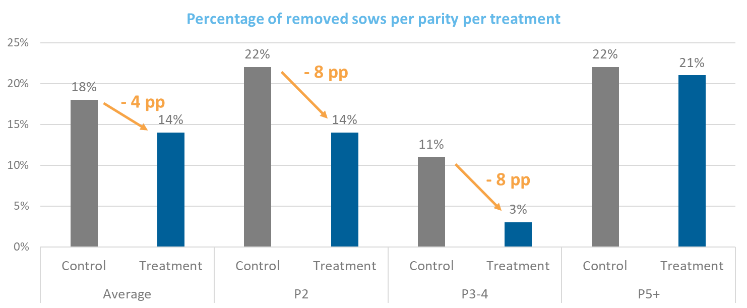Trial results of removed sows per parity in the control and treated groups in a commercial farm in the Netherlands