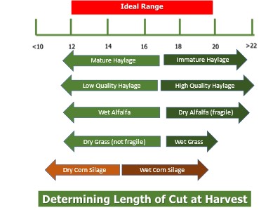 Optimal length of cut depending on forage type & quality 