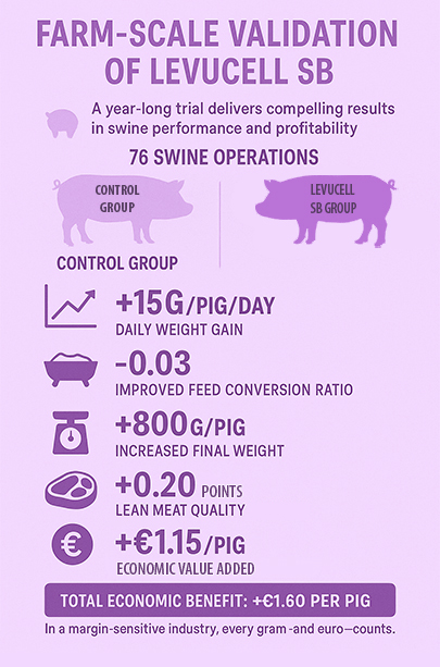 Infographic titled "Farm-Scale Validation of LEVUCELL SB" summarizing results from a year-long trial across 76 swine operations. The LEVUCELL SB group showed improvements over the control group: +15g/pig/day in daily weight gain, -0.03 in feed conversion ratio, +800g/pig in final weight, +0.20 points in lean meat quality, and +€1.15/pig in economic value added. Total economic benefit is noted as +€1.60 per pig. The message emphasizes the importance of small gains in a margin-sensitive industry.
