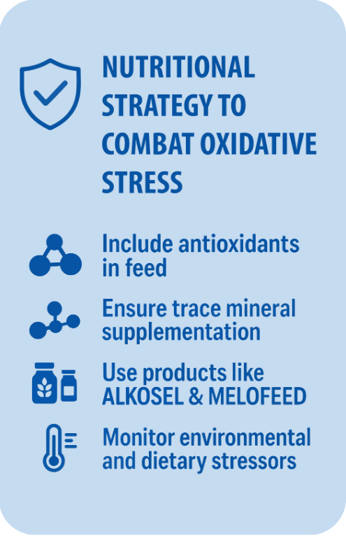Nutritional strategy to combat oxidative stress