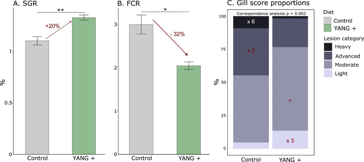 Graphs showing salmon trial results: yeast additive improved growth rate by 20%, reduced feed conversion ratio by 32%, and lowered severity of gill lesions compared to control.