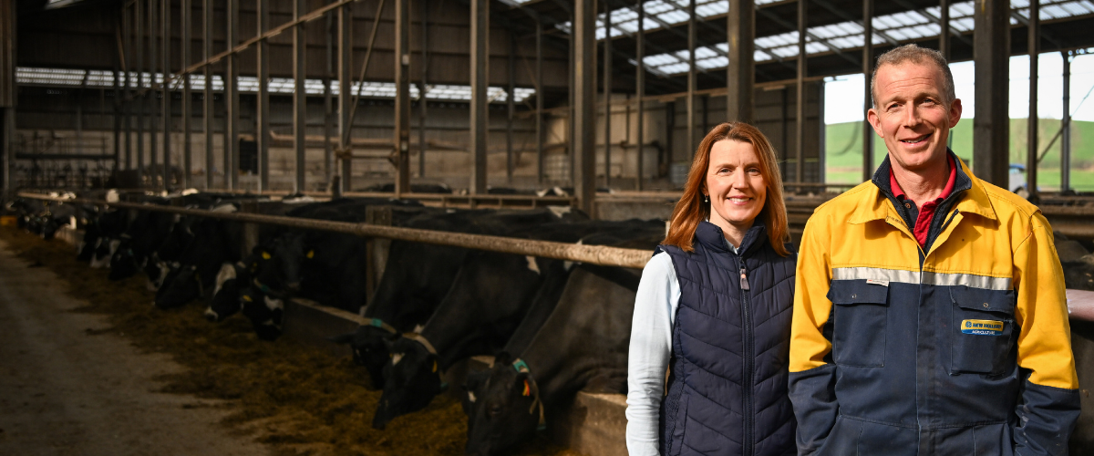 Maximise winter rations with Levucell SC
