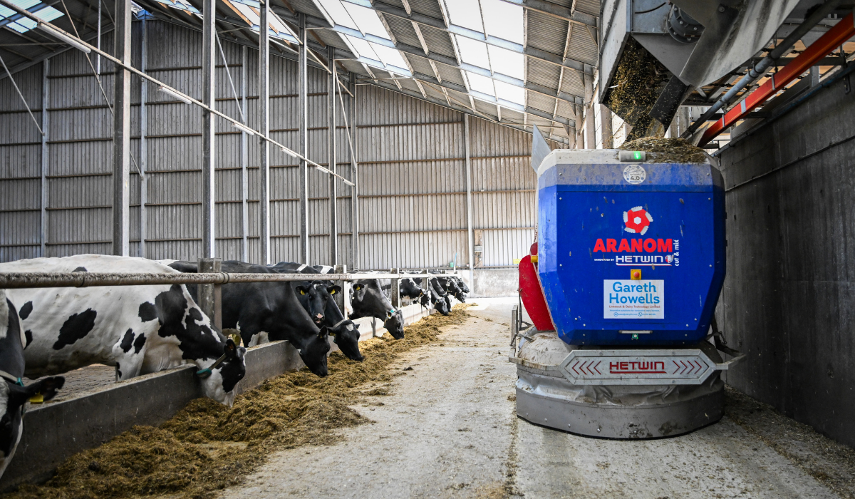 Maximise winter rations with Levucell SC
