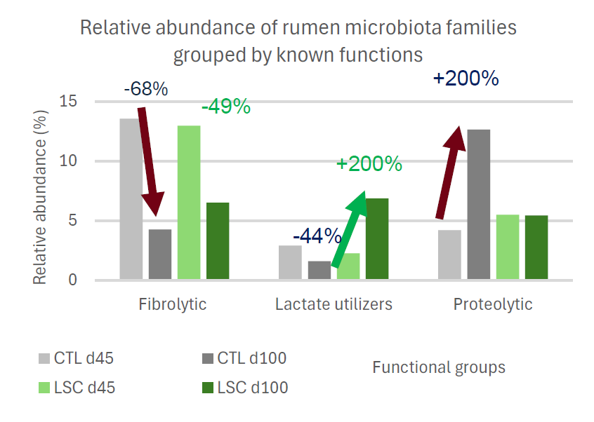Effect of LEVUCELL SC supplementation on rumen microbial populations around weaning on high-grain diet.