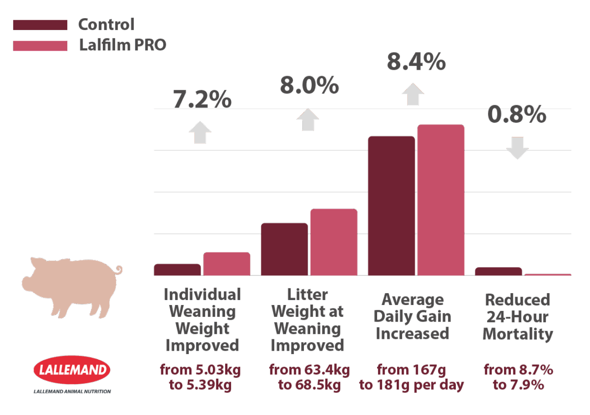 Figure: Piglet performance boost with positive biofilm application