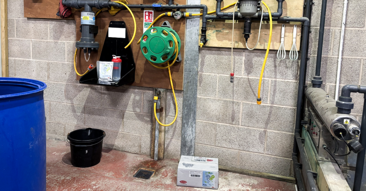 Discover how Lancashire poultry farmer Allan Robinson achieved award-winning results through meticulous management, sustainable practices, and the use of Bactocell Drink probiotic.